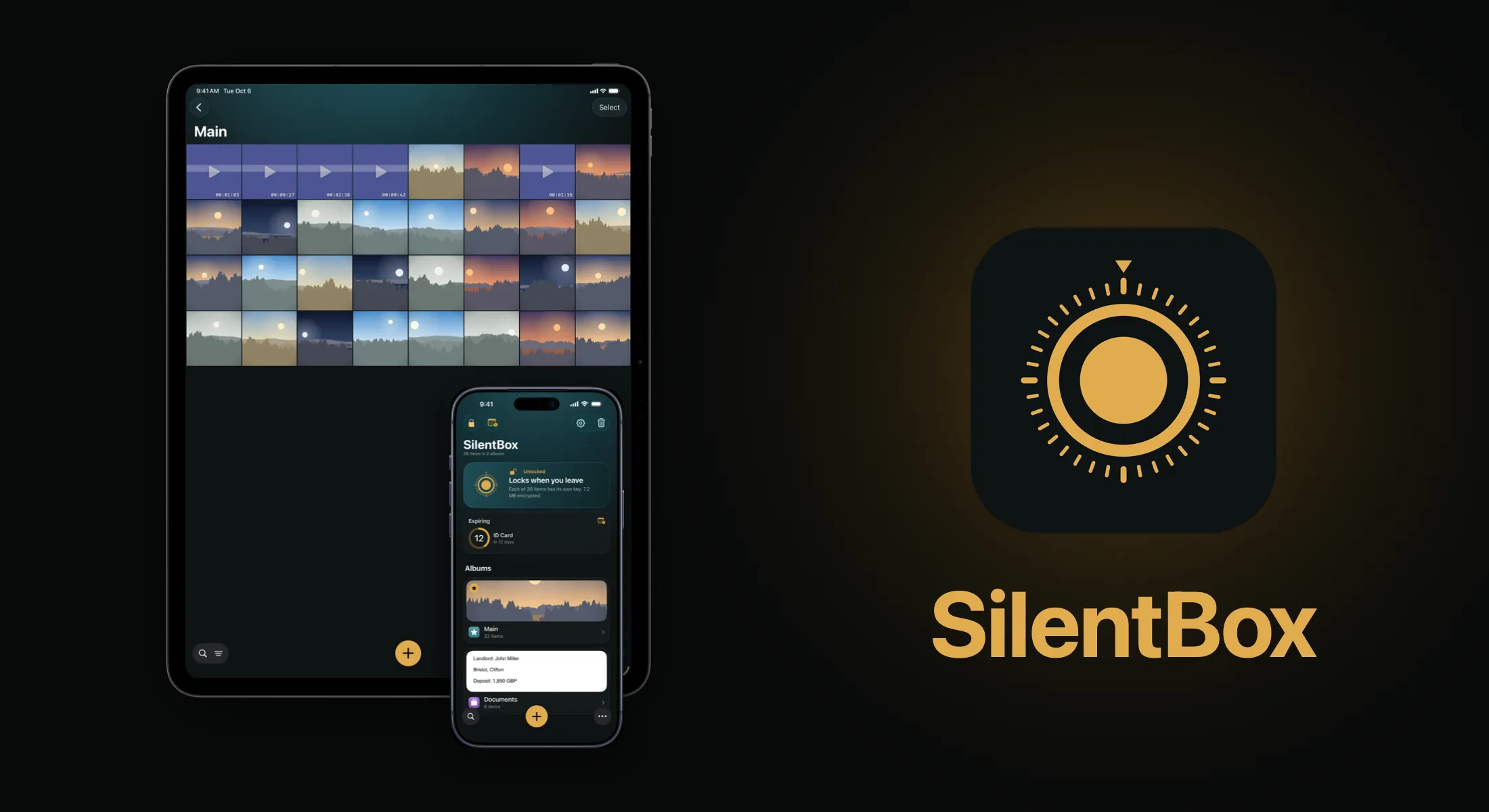 SilentBox on iPad and iPhone — the vault grid, and the album list with the vault card